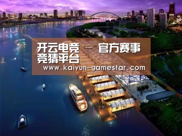 案例展示八